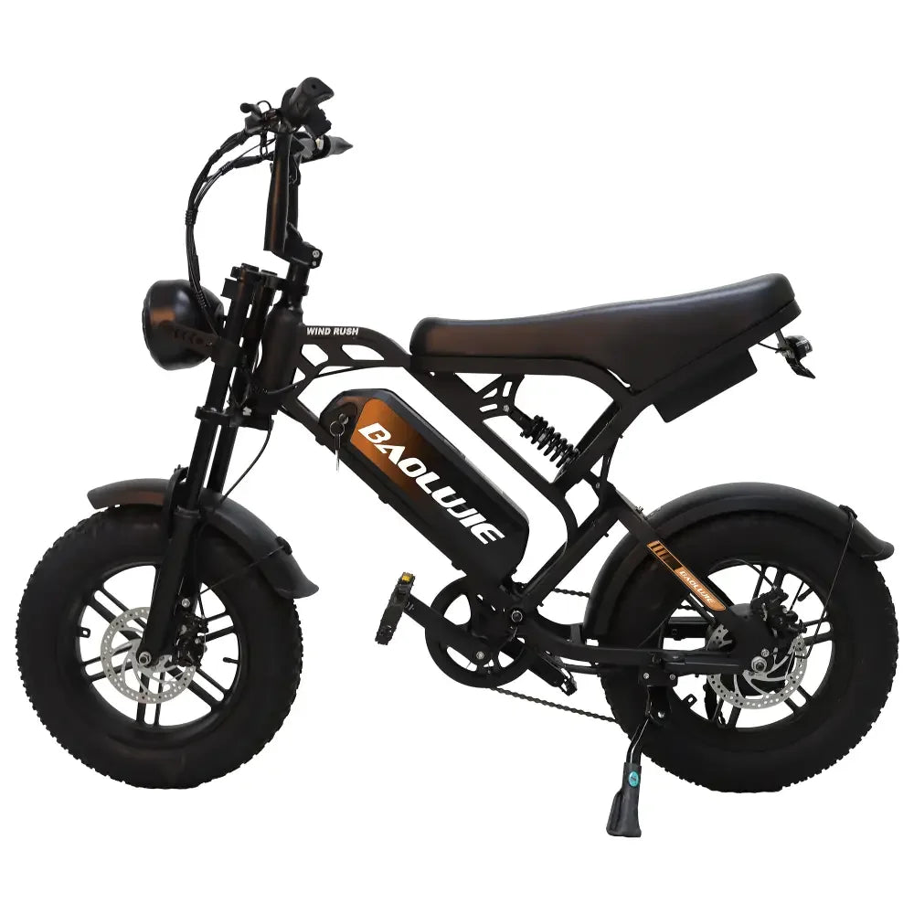 Baolujie DM01 Electric Motorcycle 2000W 60V 30Ah EBike
