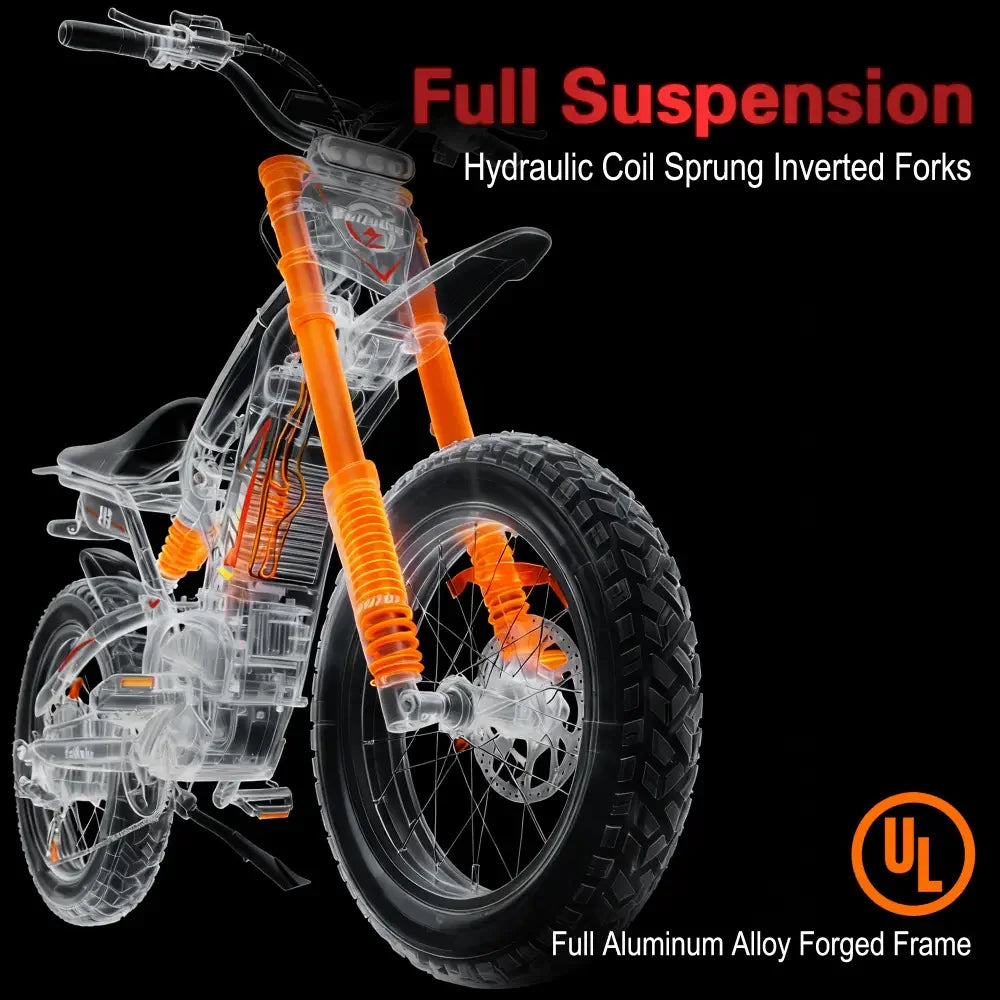 Baolujie Moto Electric Bicycle 1500W Peak Brushless Motor