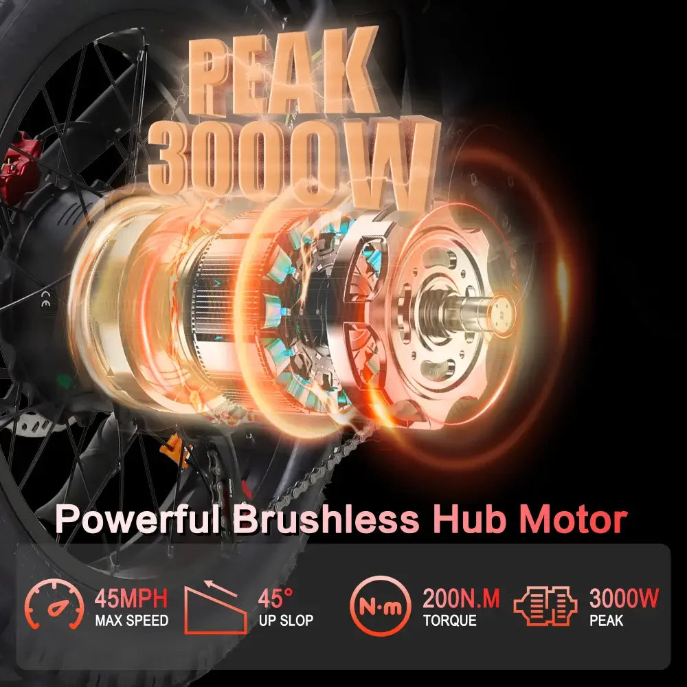 Baolujie Moto Electric Bicycle 1500W Peak Brushless Motor