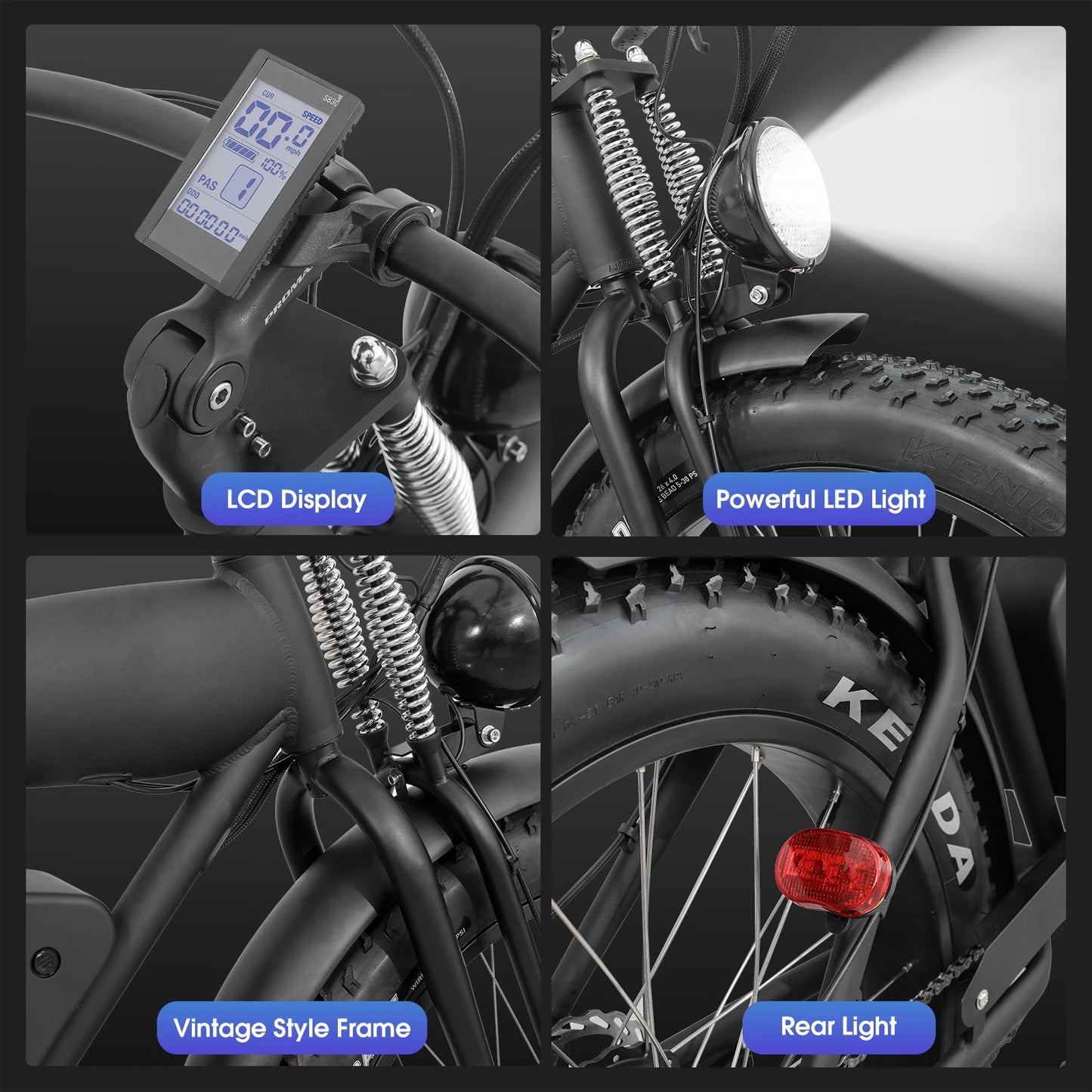 Xtion Electric Mountain Bike All-Terrain Fat Tire E-Bike